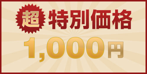 超 特別価格 1000円